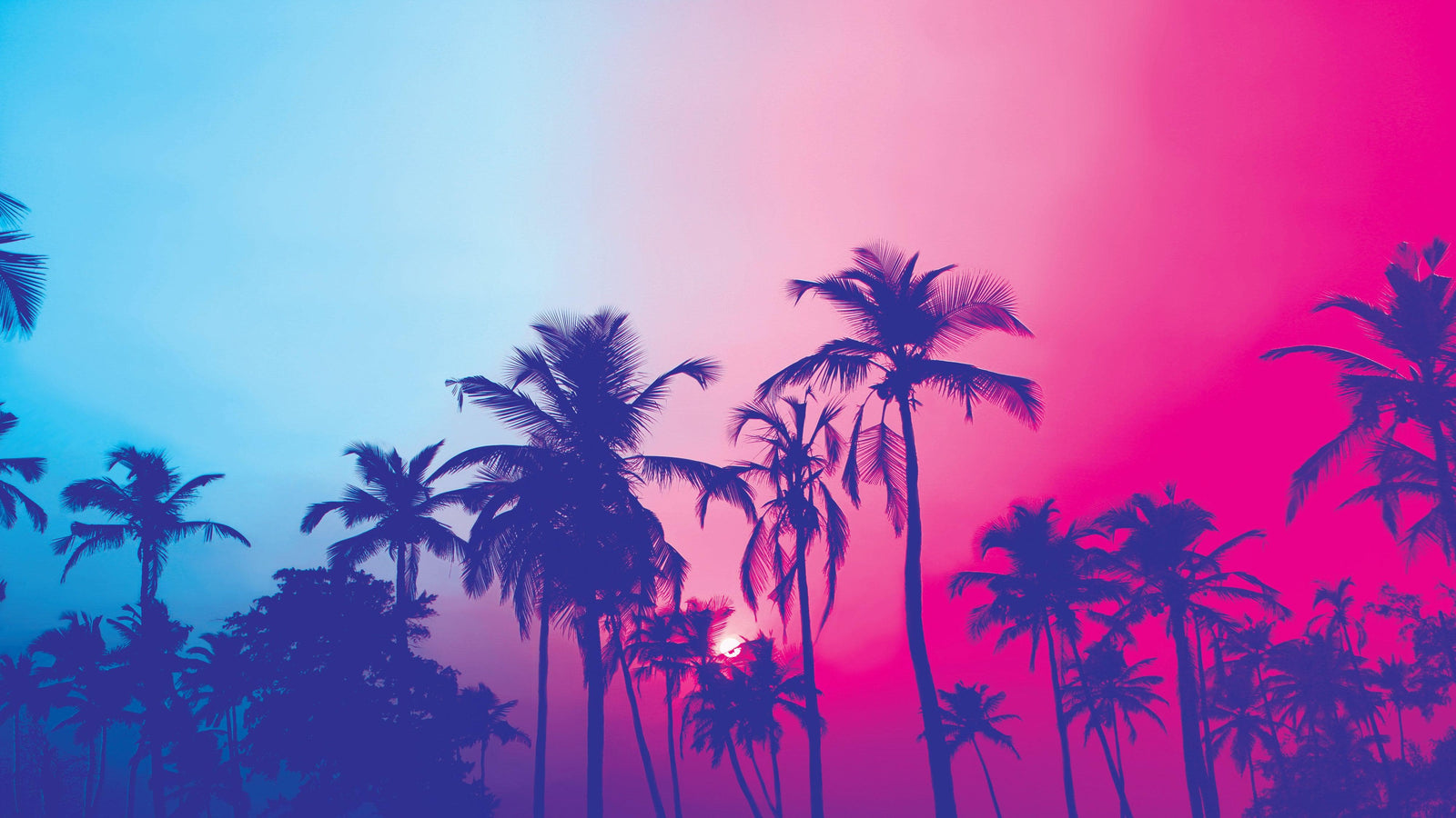 Mural de pared Miami Tropical Palm Tree Vice Color. Colores vivos Miami Vice Blue y Fucsia. #6281