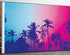 Mural de pared Miami Tropical Palm Tree Vice Color. Colores vivos Miami Vice Blue y Fucsia. #6281