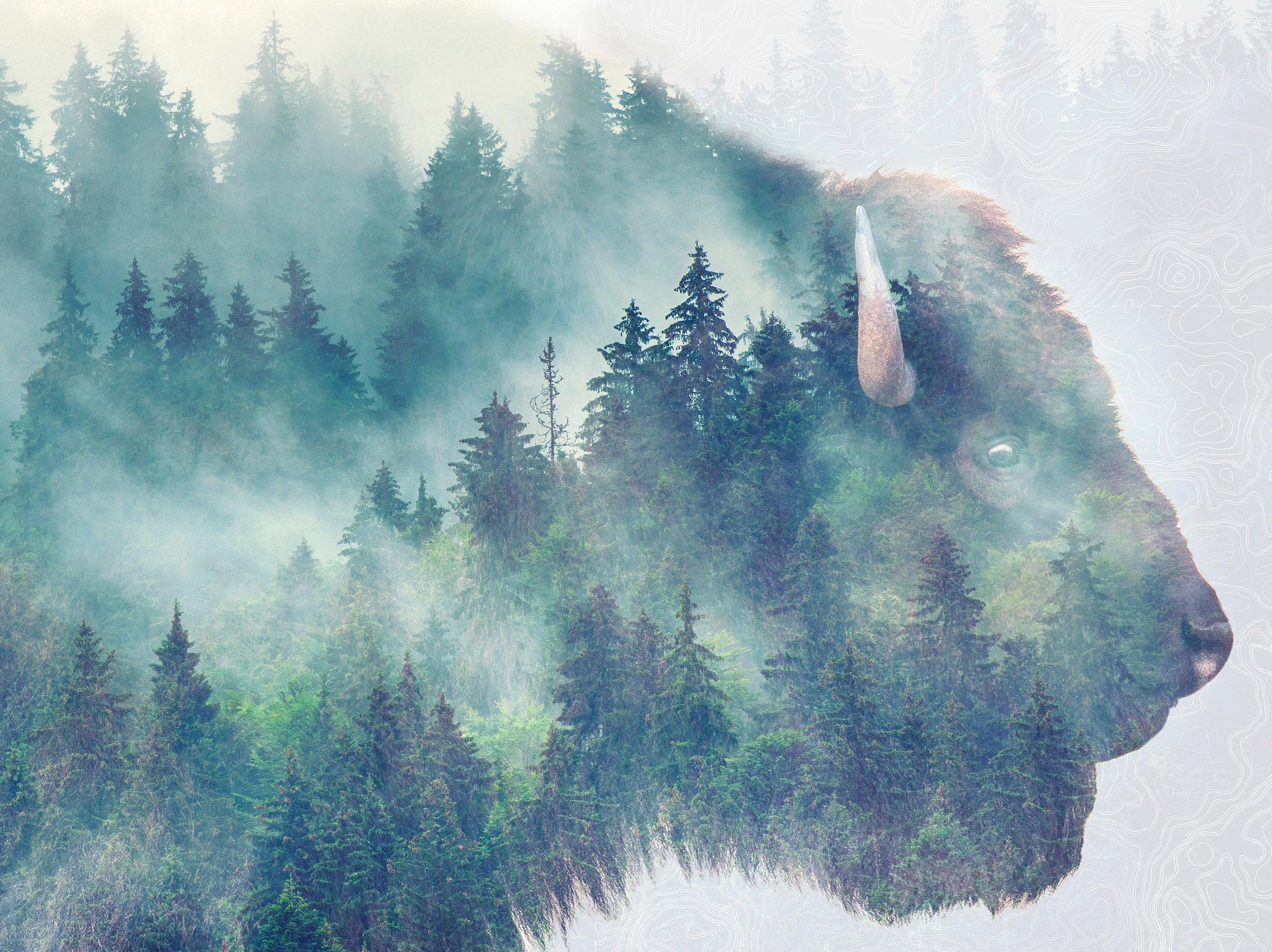 Foggy Mountain Forest View with Bison Buffalo Overlay Natural Scenery Wall Mural #6282.