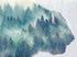 Mural de pared con paisaje natural, vista de bosque de montaña brumoso con superposición de bisontes y búfalos, n.° 6282.