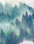 Mural de pared con paisaje natural, vista de bosque de montaña brumoso con superposición de bisontes y búfalos, n.° 6282.
