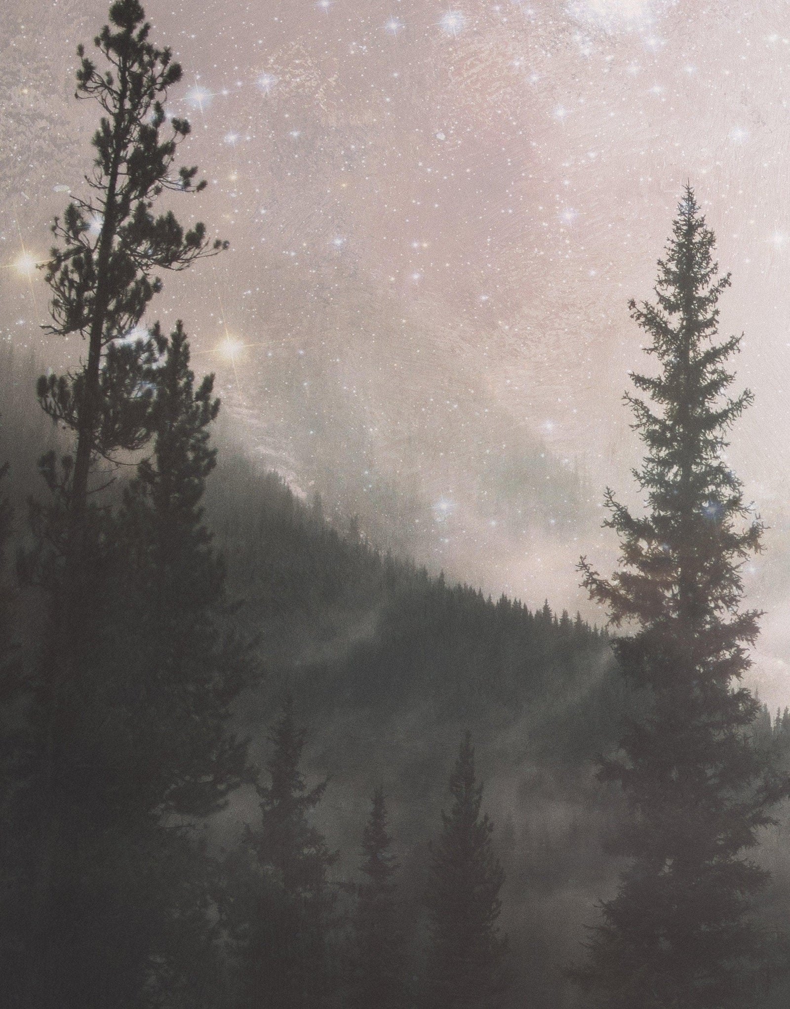 Mural de pared con árboles en un bosque brumoso y brumoso sobre una montaña bajo una noche estrellada. #6304