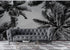 Mural de palmeras tropicales en blanco y negro. Estilo veraniego vintage. #6315