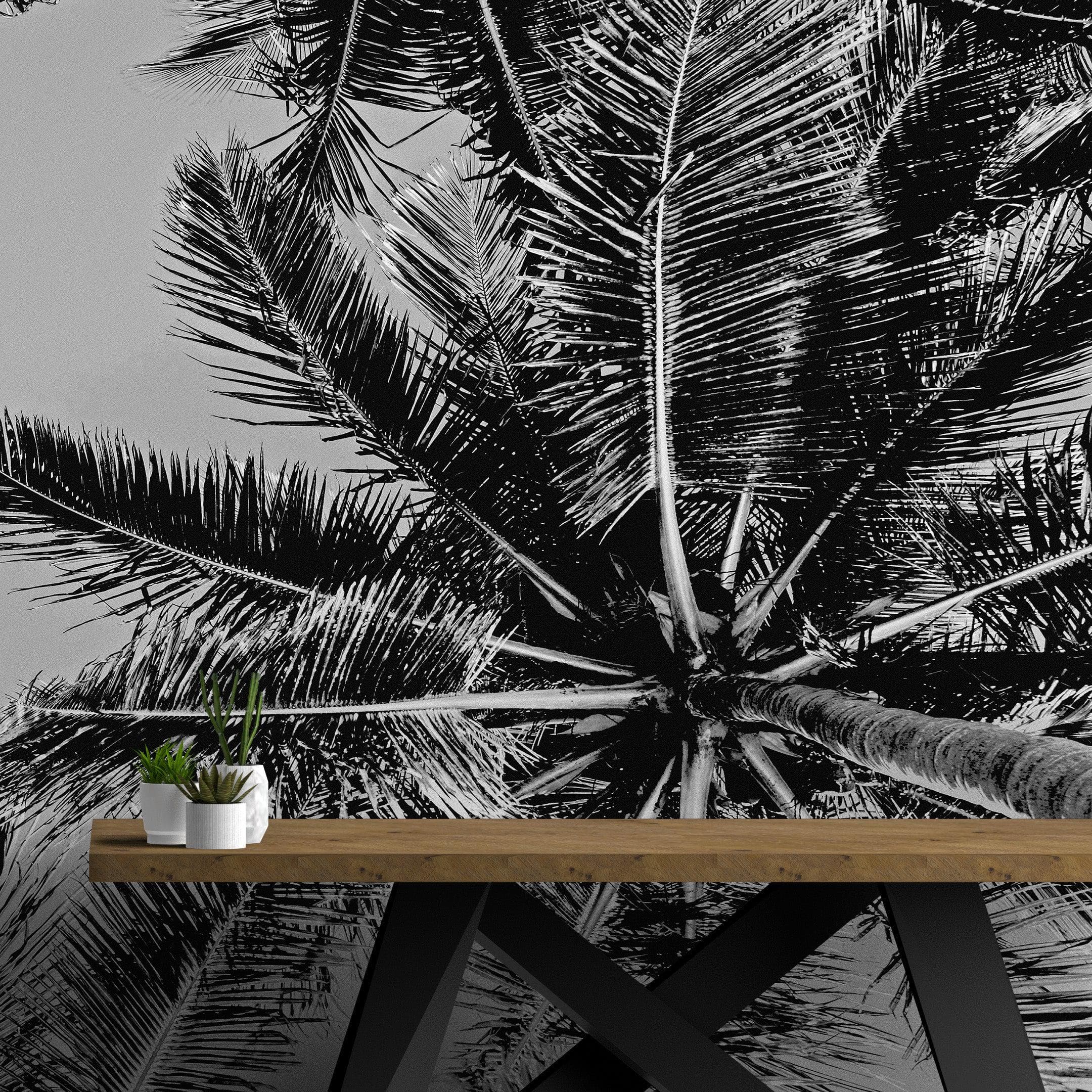 Mural de palmeras tropicales en blanco y negro. Estilo veraniego vintage. #6315