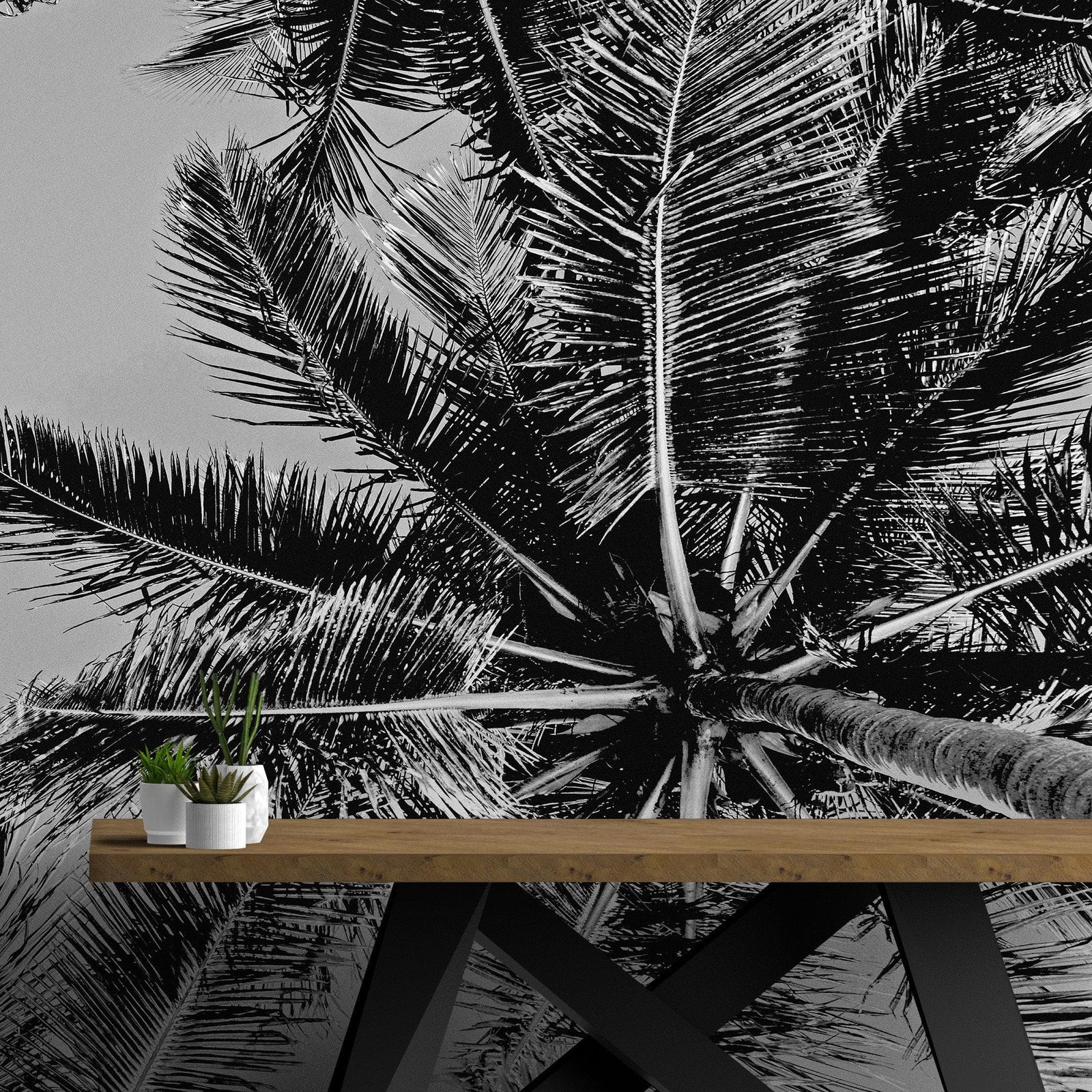 Mural de palmeras tropicales en blanco y negro. Estilo veraniego vintage. #6315