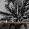 Mural de palmeras tropicales en blanco y negro. Estilo veraniego vintage. #6315