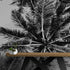 Mural de palmeras tropicales en blanco y negro. Estilo veraniego vintage. #6315