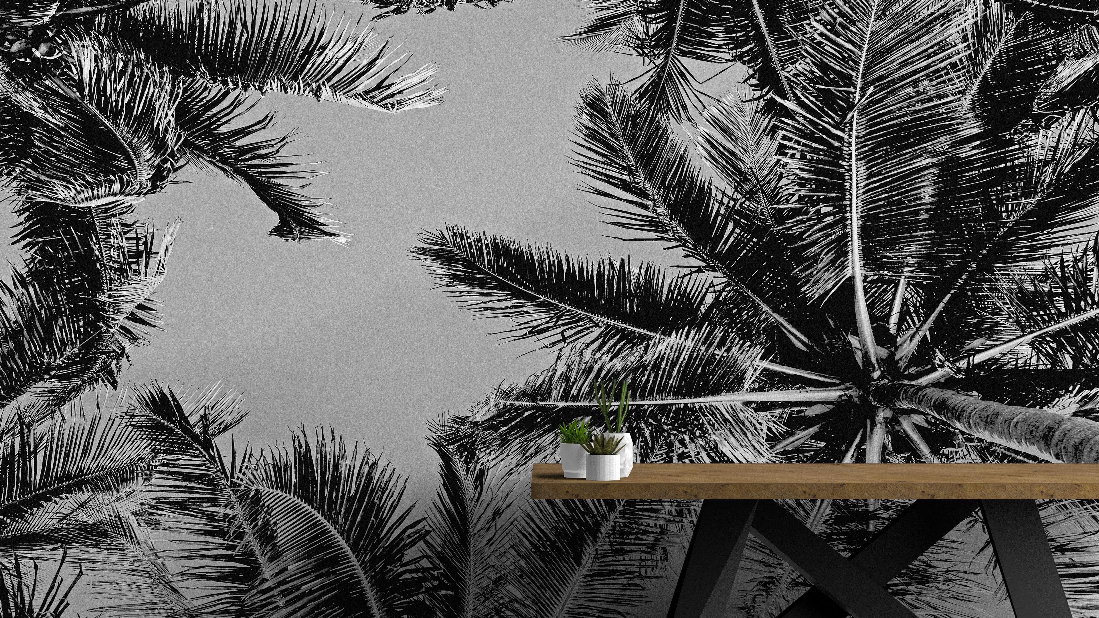 Mural de palmeras tropicales en blanco y negro. Estilo veraniego vintage. #6315