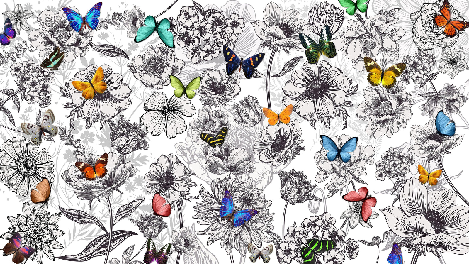 Mural de pared con mariposas en un jardín de flores. Ilustración retro en blanco y negro con diseño floral. #6320