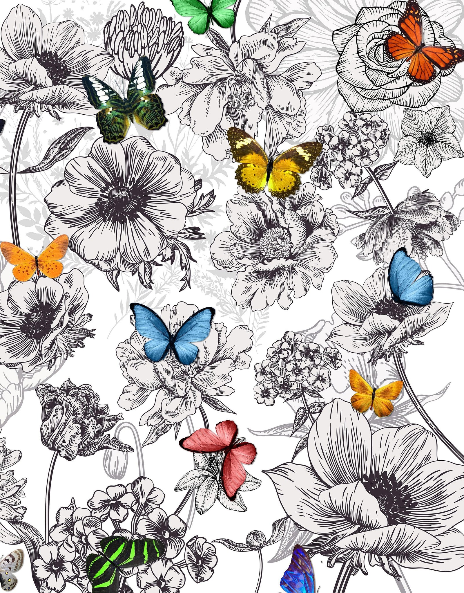 Mural de pared con mariposas en un jardín de flores. Ilustración retro en blanco y negro con diseño floral. #6320