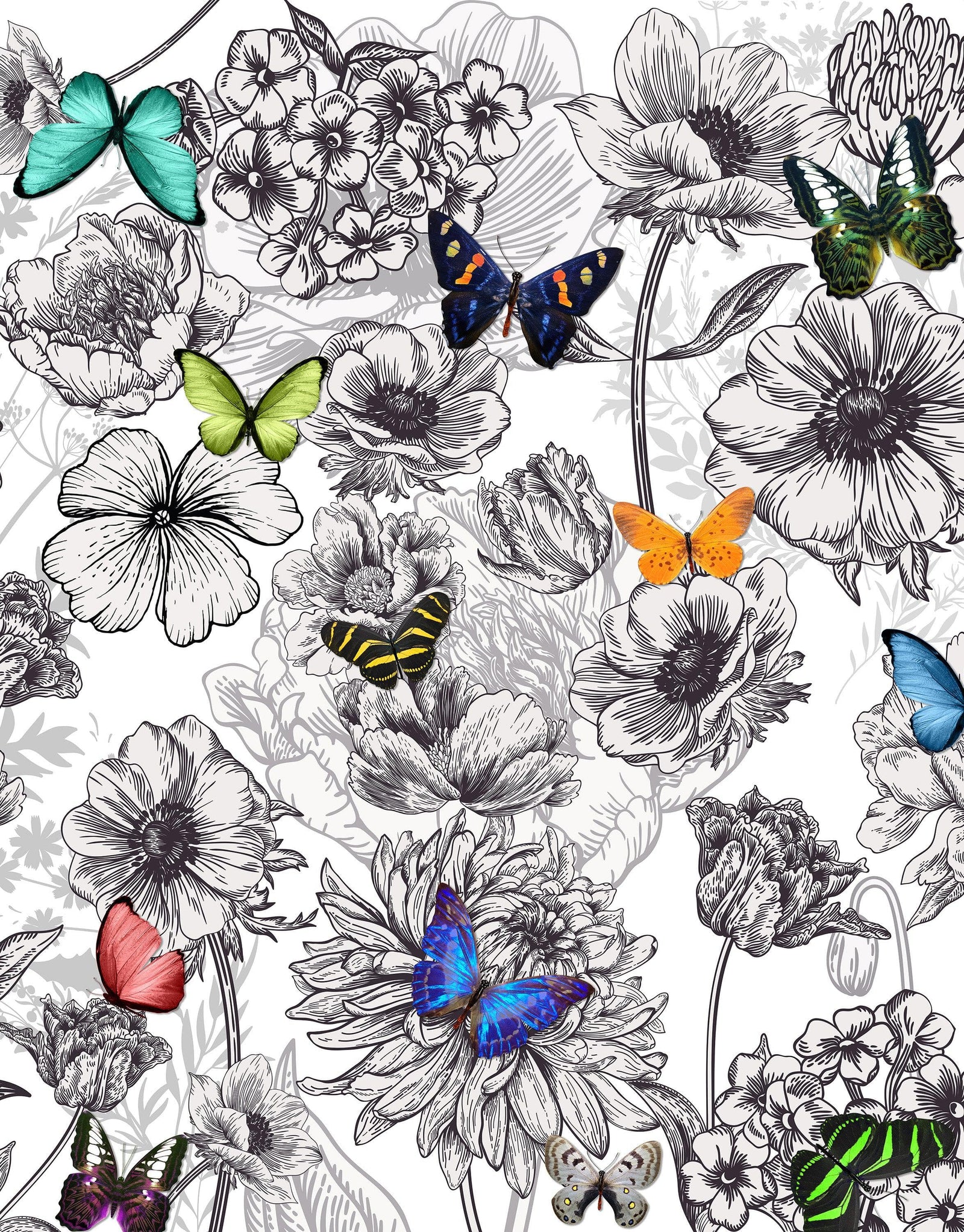 Mural de pared con mariposas en un jardín de flores. Ilustración retro en blanco y negro con diseño floral. #6320
