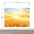 Mural de pared con puesta de sol y amanecer sobre un campo de trigo. Papel tapiz autoadhesivo. N.º 6323
