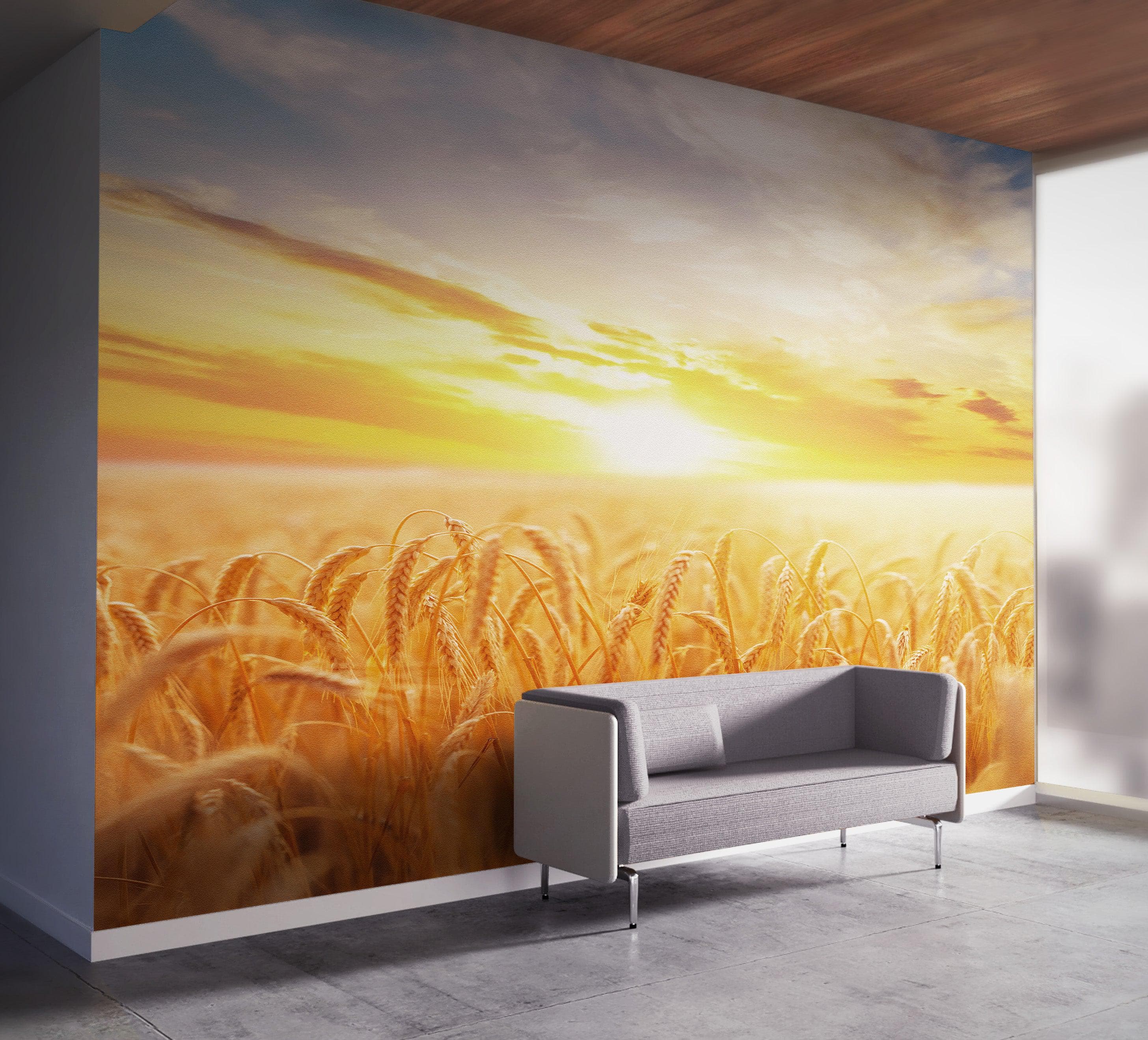 Mural de pared con puesta de sol y amanecer sobre un campo de trigo. Papel tapiz autoadhesivo. N.º 6323