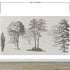 Mural de pared con árboles de bosque vintage. Diseño de arte abstracto monocromático con bocetos. Papel tapiz autoadhesivo. Mural de pared extraíble. N.º 6329
