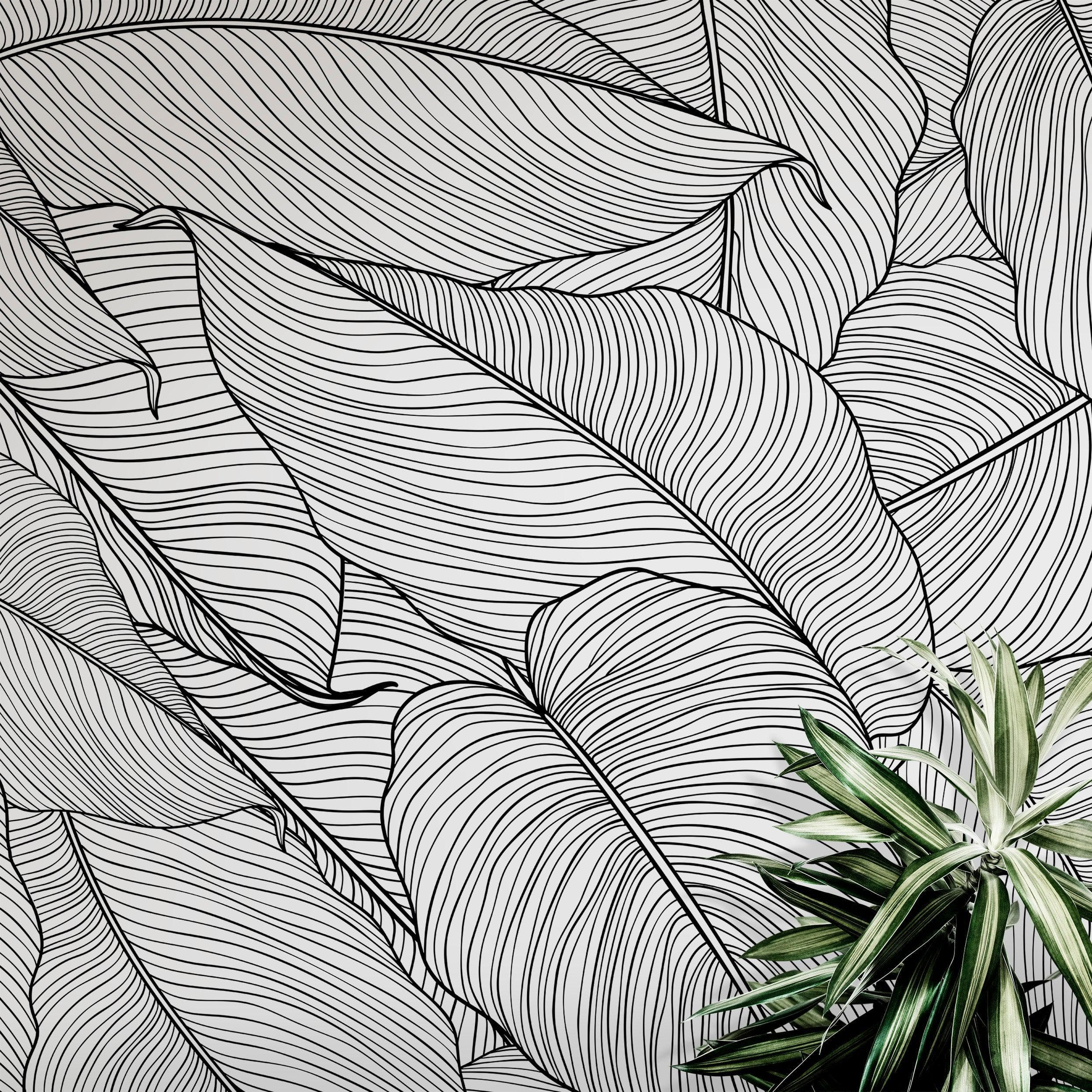 Papel tapiz de hojas de plátano, patrón de arte lineal de hojas de palmera, mural de pared autoadhesivo. #6330