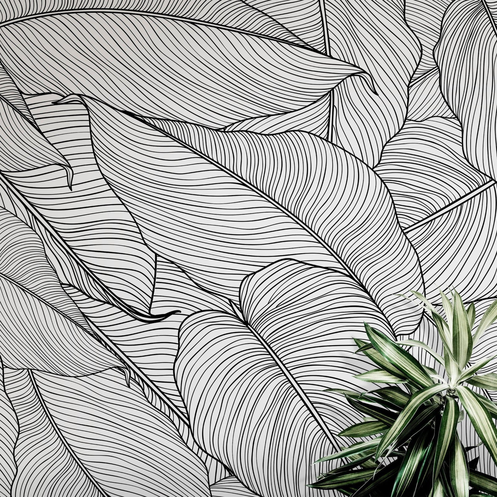Papel tapiz de hojas de plátano, patrón de arte lineal de hojas de palmera, mural de pared autoadhesivo. #6330