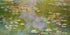 Cuadro de Monet, Nenúfares (1919). Mural de pared con papel pintado autoadhesivo. N.º 6333