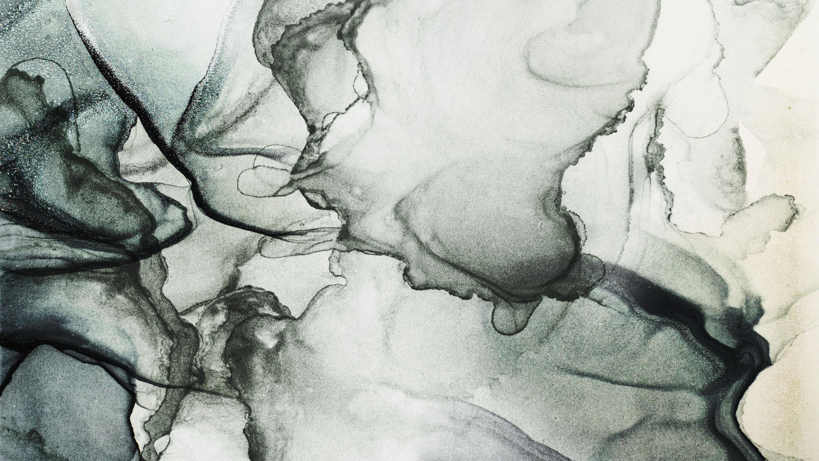 Mural abstracto de tinta de alcohol fluida en blanco y negro. Papel pintado autoadhesivo. #6341