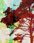 Mural de pared con árboles del bosque. Impresión abstracta en color. Papel tapiz autoadhesivo o mural de pared extraíble. N.º 6342
