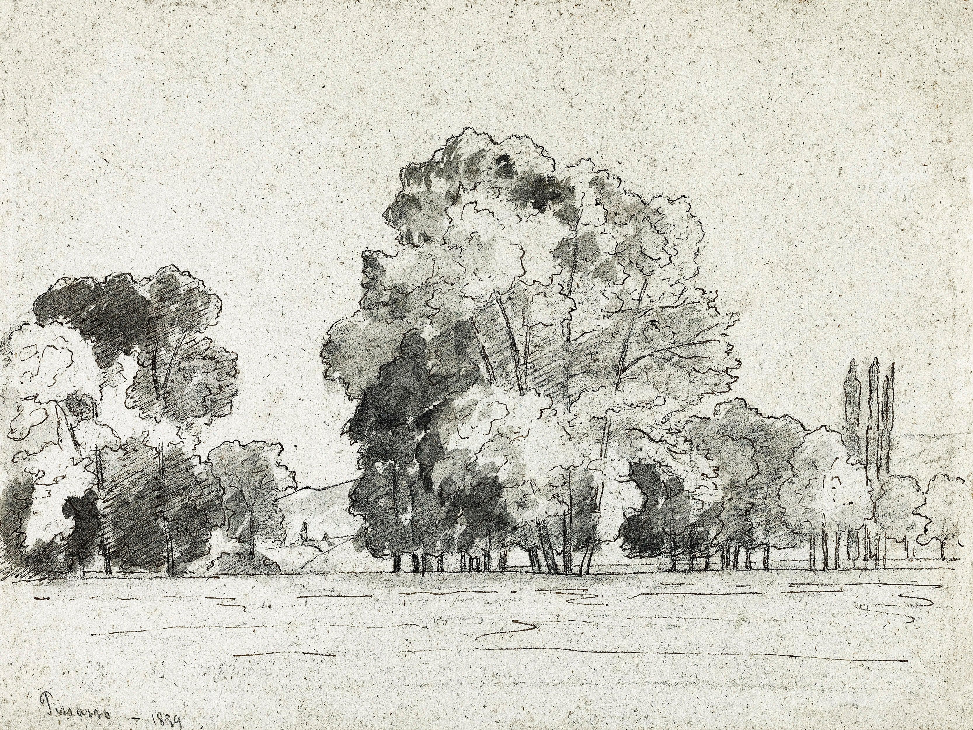 Mural autoadhesivo con árboles del bosque, dibujo de la arboleda de Camille Pissarro. #6344 