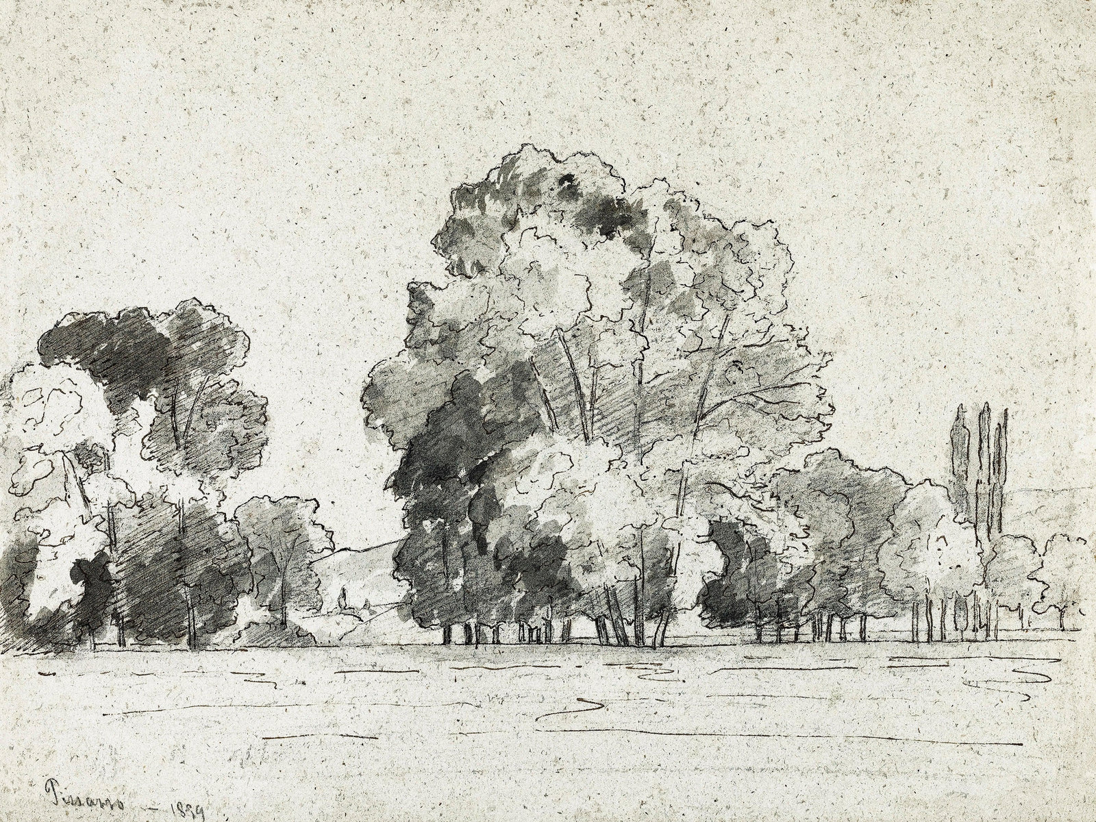 Mural autoadhesivo con árboles del bosque, dibujo de la arboleda de Camille Pissarro. #6344 