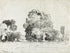 Mural autoadhesivo con árboles del bosque, dibujo de la arboleda de Camille Pissarro. #6344 