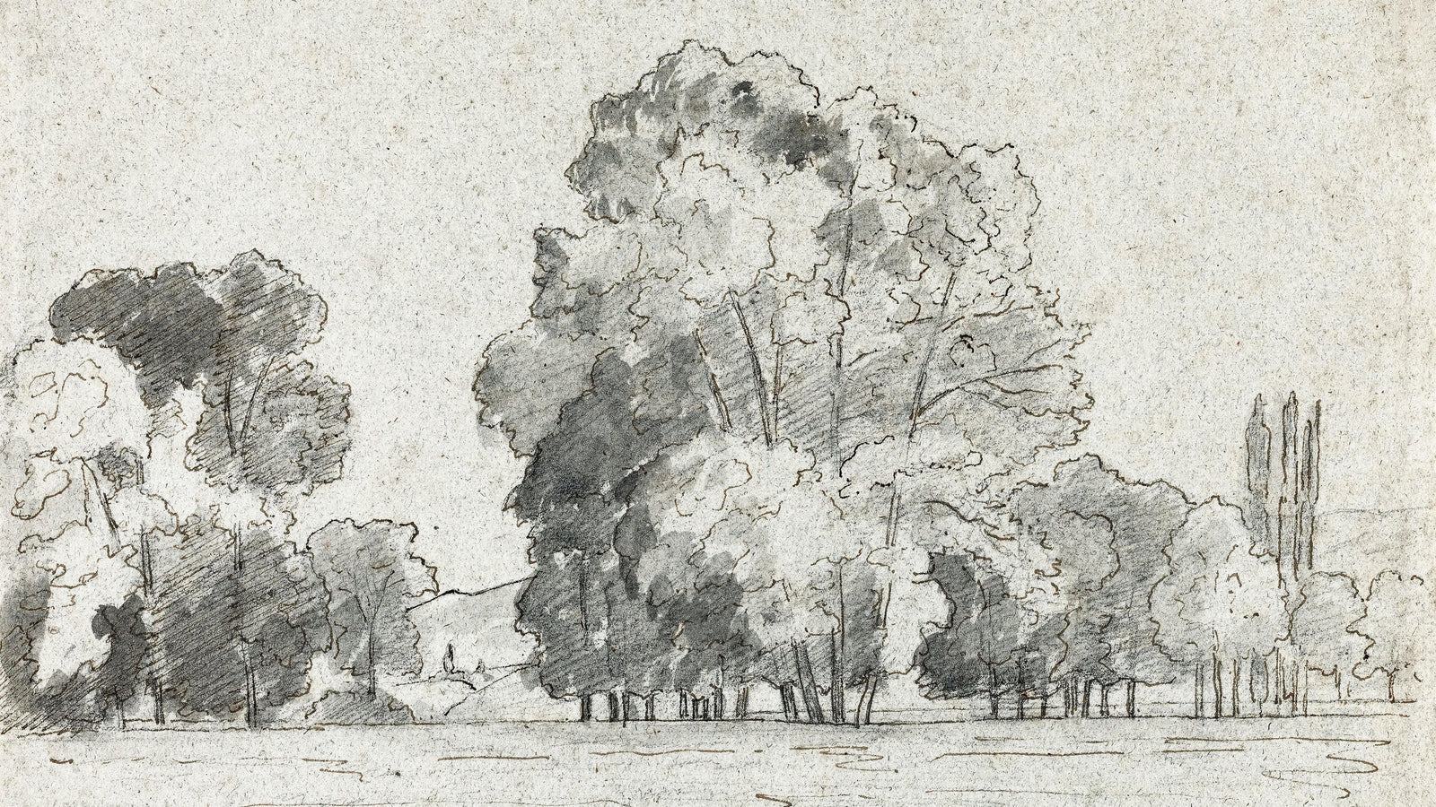Mural autoadhesivo con árboles del bosque, dibujo de la arboleda de Camille Pissarro. #6344 