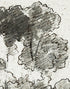 Mural autoadhesivo con árboles del bosque, dibujo de la arboleda de Camille Pissarro. #6344 