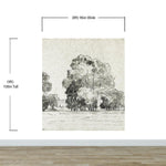Mural autoadhesivo con árboles del bosque, dibujo de la arboleda de Camille Pissarro. #6344 