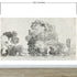Mural autoadhesivo con árboles del bosque, dibujo de la arboleda de Camille Pissarro. #6344 