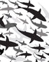 Mural submarino Shark Frenzy. Papel tapiz autoadhesivo. Siluetas de tiburones en blanco y negro n.º 6347