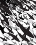 Mural submarino Shark Frenzy. Papel tapiz autoadhesivo. Siluetas de tiburones en blanco y negro n.º 6347