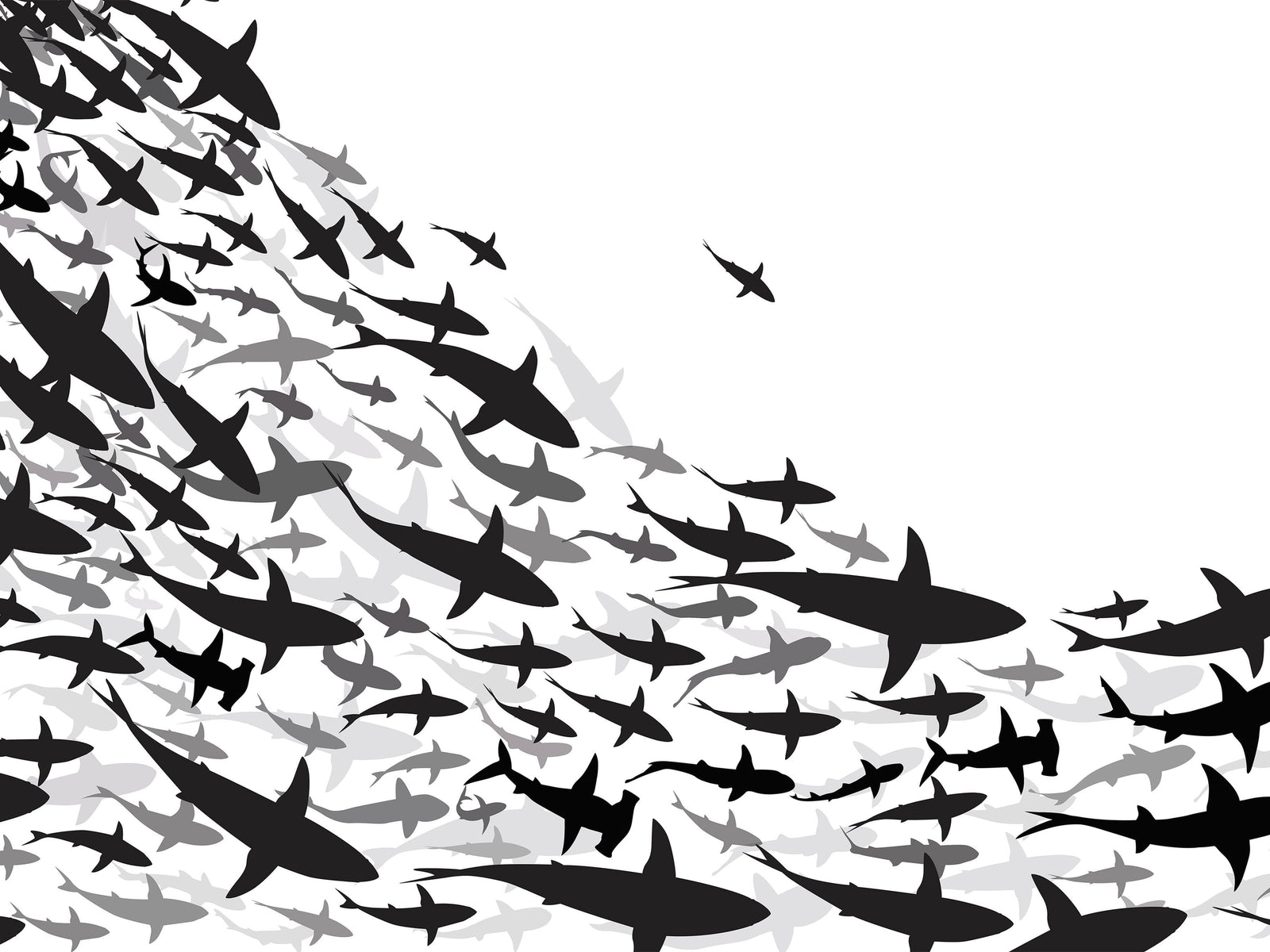 Mural submarino Shark Frenzy. Papel tapiz autoadhesivo. Siluetas de tiburones en blanco y negro n.º 6347