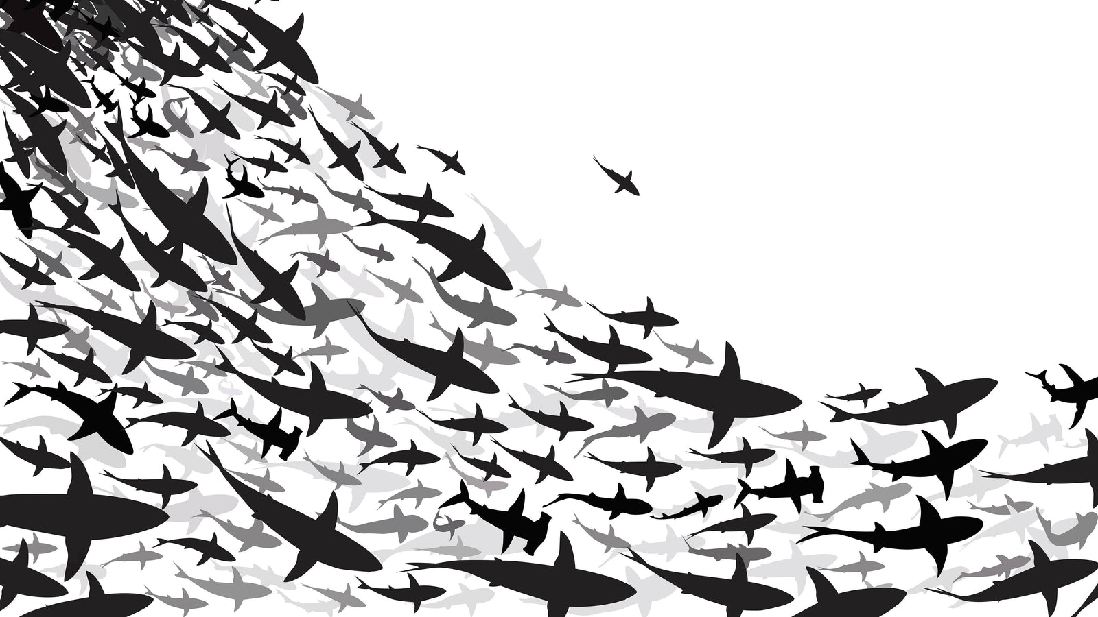 Mural submarino Shark Frenzy. Papel tapiz autoadhesivo. Siluetas de tiburones en blanco y negro n.º 6347