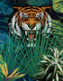 Mural de pared Tigre escondido tras las hojas de la jungla. Papel pintado autoadhesivo. Ilustración de vida salvaje de safari. #6351