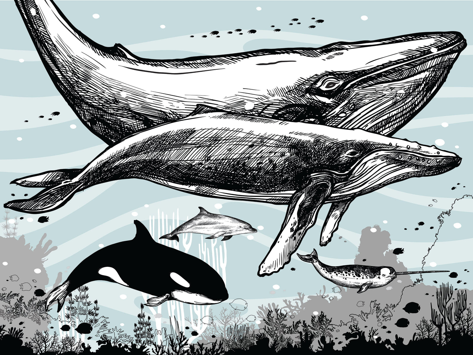 Mural de pared con ballena, delfín y orca. Diseño de dibujos de vida marina submarina. Mural de pared autoadhesivo. N.º 6354