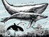 Mural de pared con ballena, delfín y orca. Diseño de dibujos de vida marina submarina. Mural de pared autoadhesivo. N.º 6354