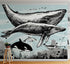 Mural de pared con ballena, delfín y orca. Diseño de dibujos de vida marina submarina. Mural de pared autoadhesivo. N.º 6354