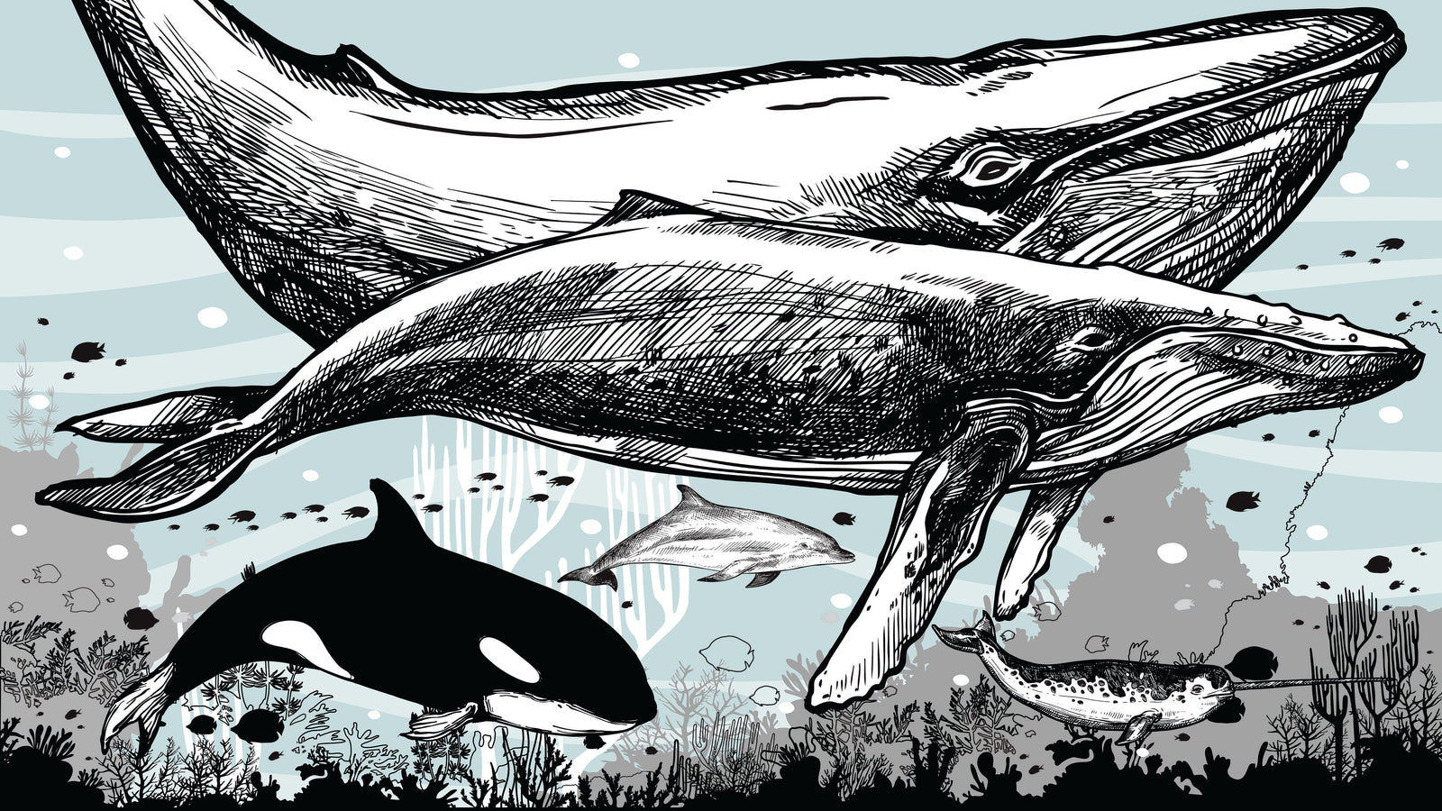 Mural de pared con ballena, delfín y orca. Diseño de dibujos de vida marina submarina. Mural de pared autoadhesivo. N.º 6354
