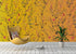 Mural de pared con jardín botánico de flores con fondo naranja amarillento. Decoración con flores en flor. #6355