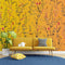 Mural de pared con jardín botánico de flores con fondo naranja amarillento. Decoración con flores en flor. #6355