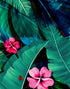 Fondo de pantalla de selva tropical con diseño de flores verdes y hojas de palmeras. #6357