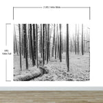 Mural de pared con paisaje forestal en blanco y negro. Papel pintado autoadhesivo. #6365