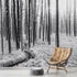 Mural de pared con paisaje forestal en blanco y negro. Papel pintado autoadhesivo. #6365