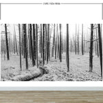 Mural de pared con paisaje forestal en blanco y negro. Papel pintado autoadhesivo. #6365