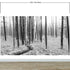 Mural de pared con paisaje forestal en blanco y negro. Papel pintado autoadhesivo. #6365