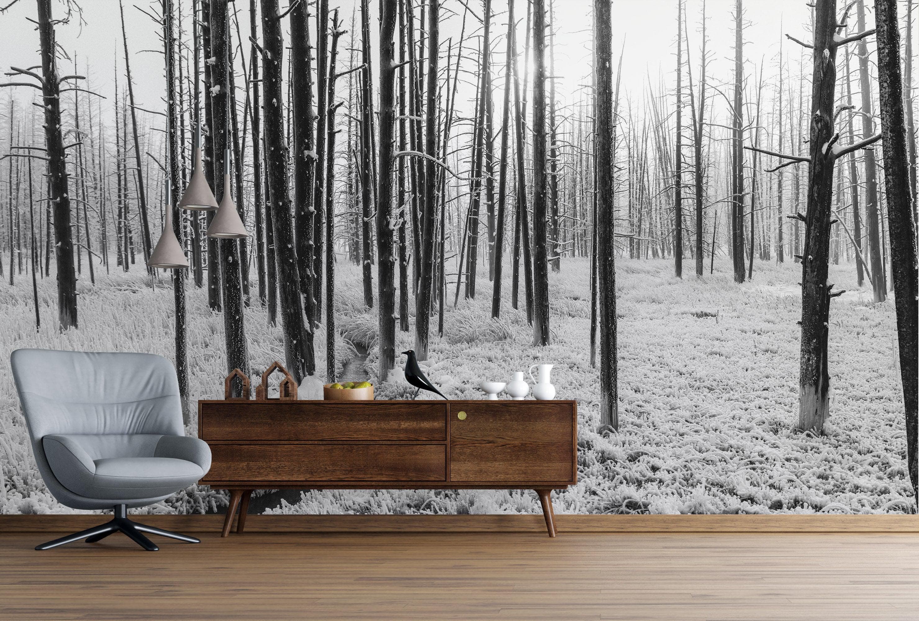 Mural de pared con paisaje forestal en blanco y negro. Papel pintado autoadhesivo. #6365