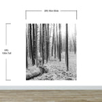 Mural de pared con paisaje forestal en blanco y negro. Papel pintado autoadhesivo. #6365
