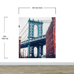 Mural de pared de la ciudad de Nueva York, papel tapiz autoadhesivo. Papel tapiz vintage de Dumbo NYC. Papel tapiz con paisaje de Brooklyn NY. #6369