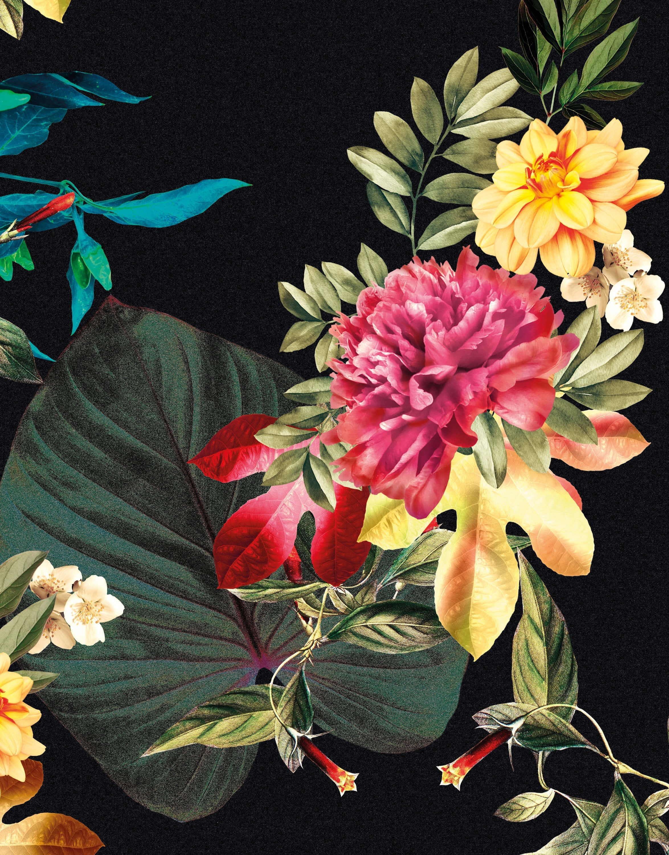 Mural de pared con flores tropicales. Fondo negro con hojas y flores botánicas del paraíso. #6372